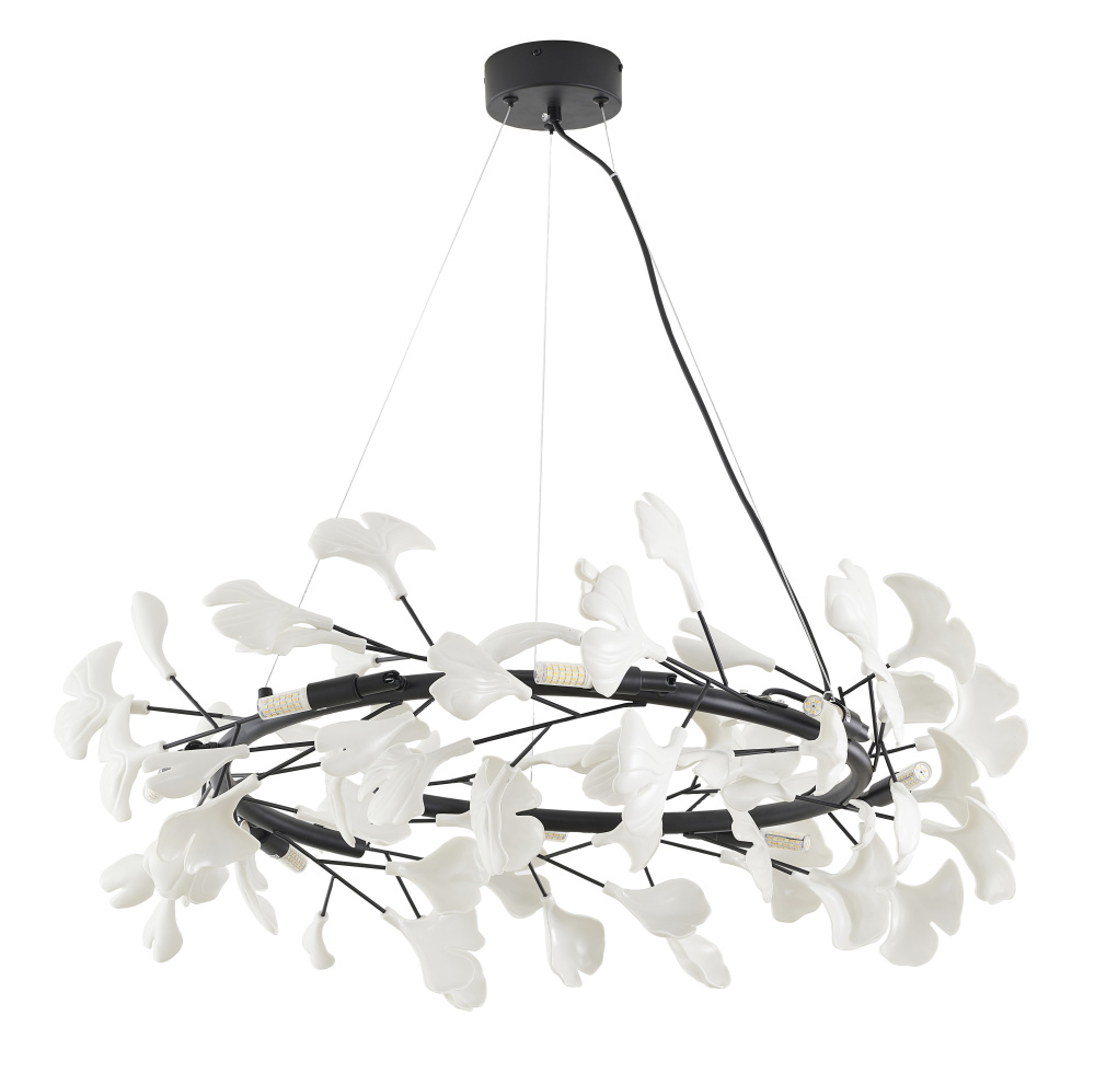 Round Black Frame Chandelier